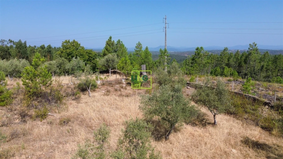 Terreno para Venda em Benquerenças Foto 28