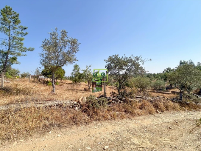 Terreno para Venda em Benquerenças Foto 45