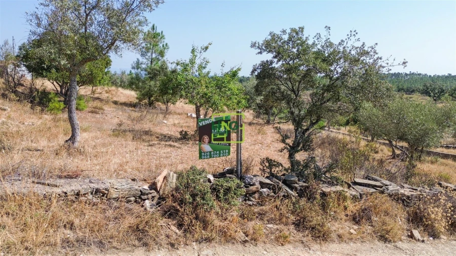 Terreno para Venda em Benquerenças Foto 16