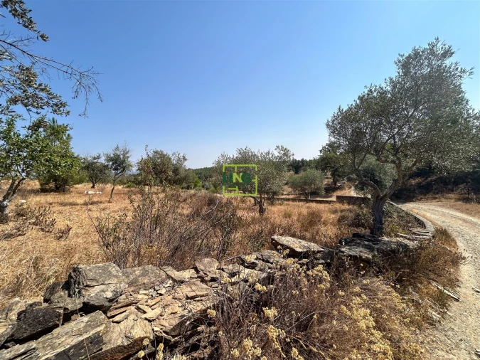 Terreno para Venda em Benquerenças Foto 44