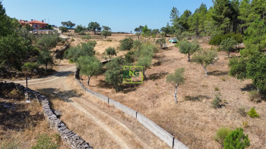 Terreno para Venda em Benquerenças Foto 37