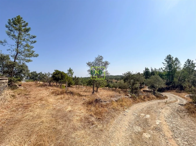 Terreno para Venda em Benquerenças Foto 47