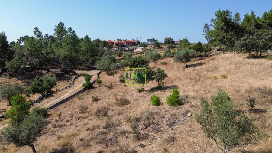 Terreno para Venda em Benquerenças Foto 30