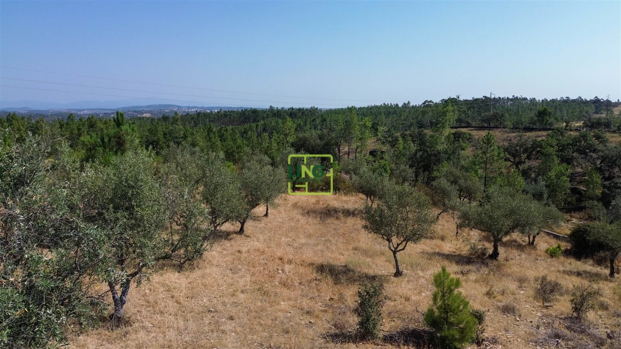 Terreno para Venda em Benquerenças Foto 24