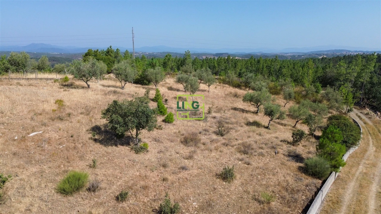 Terreno para Venda em Benquerenças Foto 20