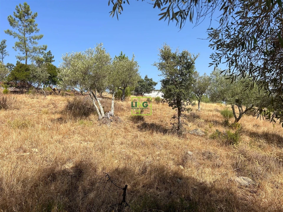 Terreno para Venda em Benquerenças Foto 41