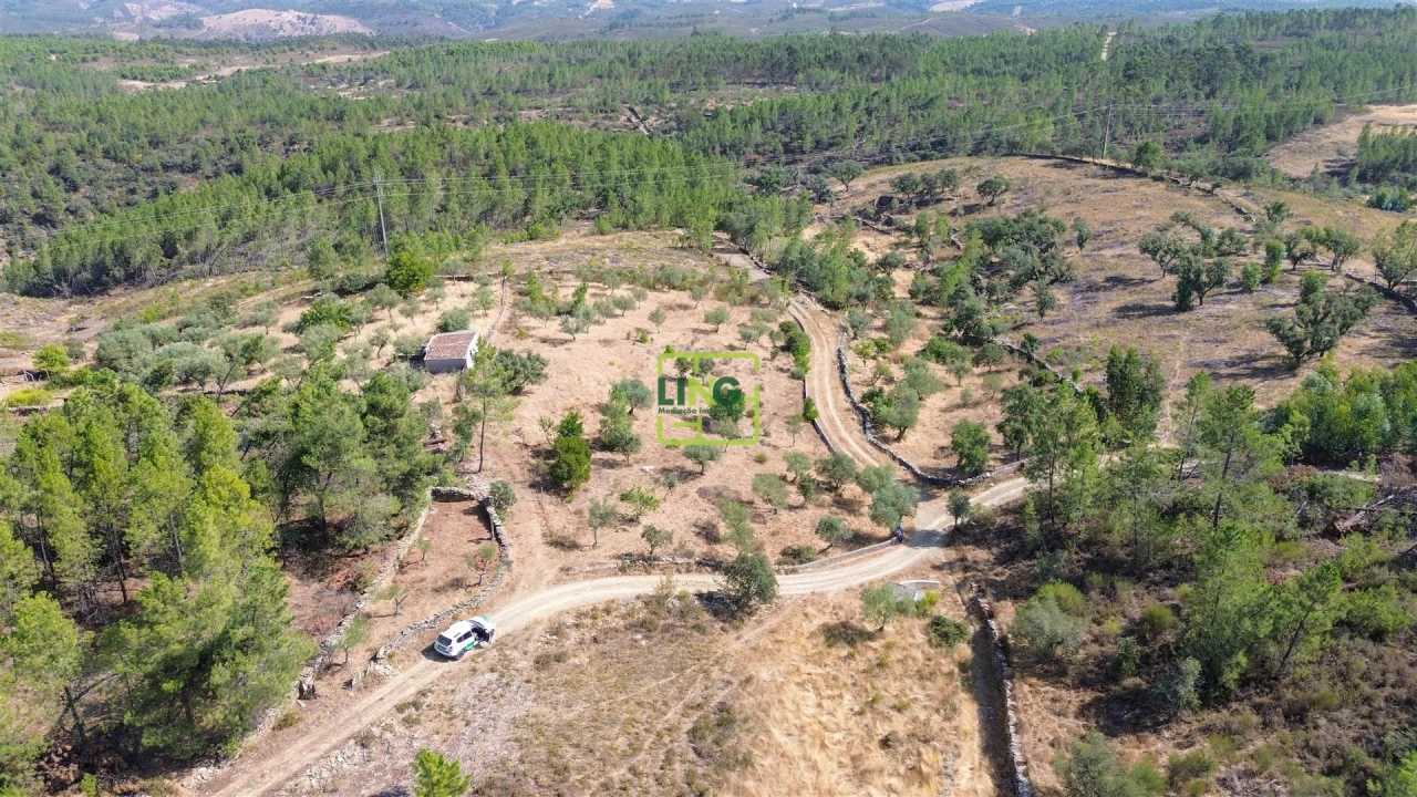 Terreno para Venda em Benquerenças Foto 13