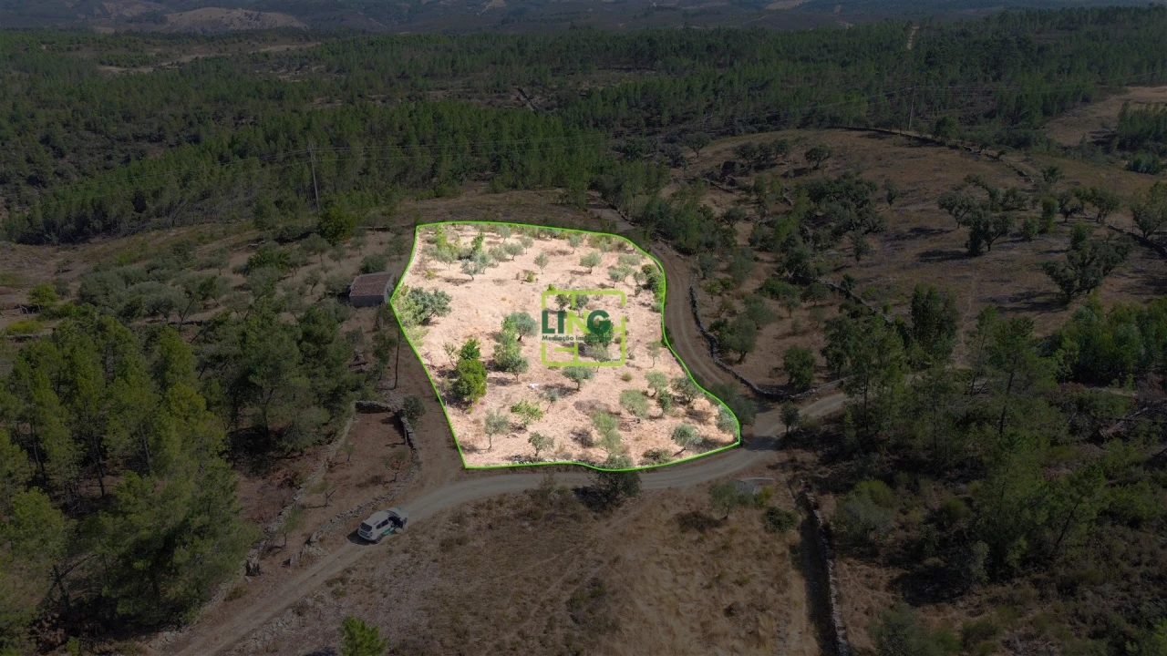 Terreno para Venda em Benquerenças Foto 14
