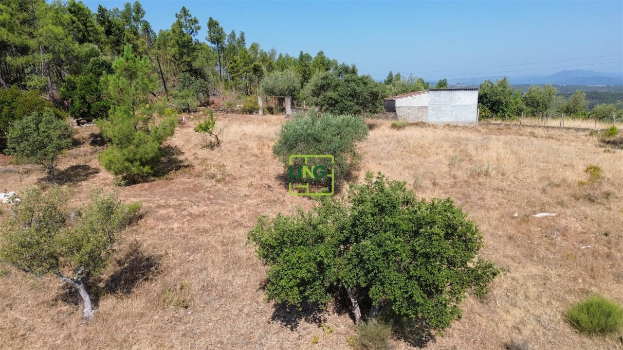 Terreno para Venda em Benquerenças Foto 18