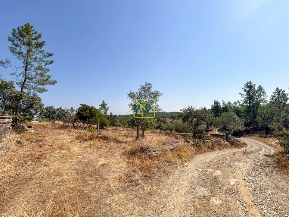 Terreno para Venda em Benquerenças Foto 47