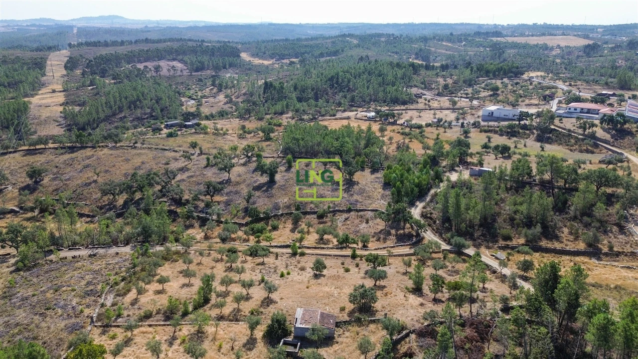 Terreno para Venda em Benquerenças Foto 31