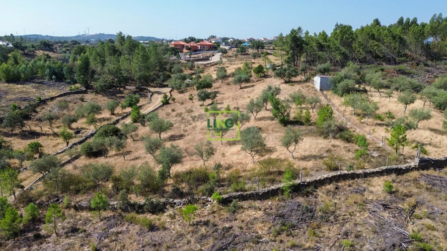 Terreno para Venda em Benquerenças