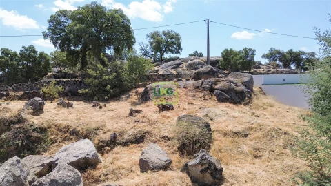 Terreno para Venda em Castelo Branco