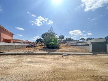 Terreno para Venda em Castelo Branco