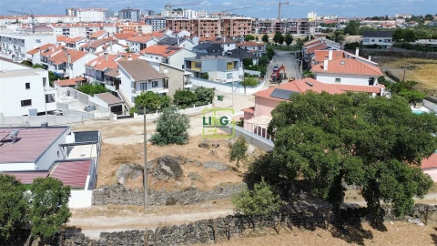 Terreno para Venda em Castelo Branco
