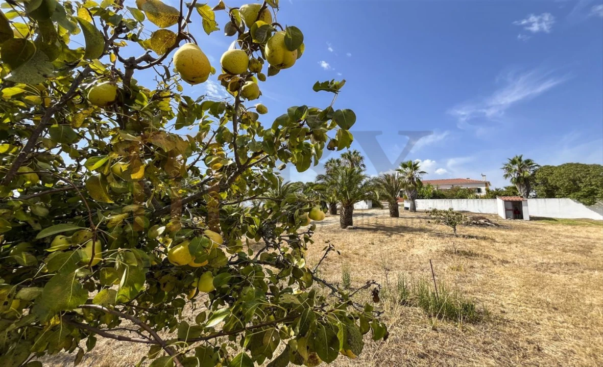 Quinta T2 para Venda em Santana de Cambas Foto 47