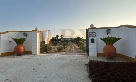 Quinta T2 para Venda em Santana de Cambas