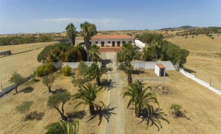 Quinta T2 para Venda em Santana de Cambas