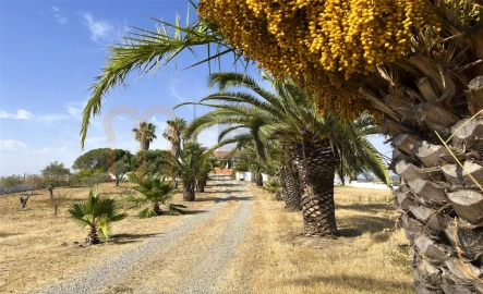 Quinta T2 para Venda em Santana de Cambas