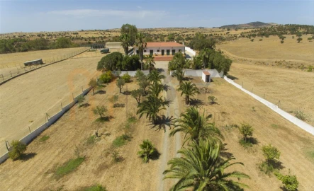 Quinta T2 para Venda em Santana de Cambas