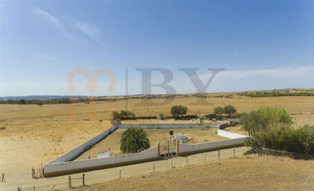 Quinta T2 para Venda em Santana de Cambas