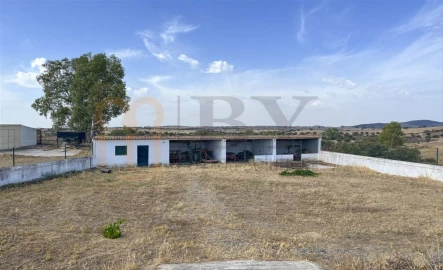 Quinta T2 para Venda em Santana de Cambas