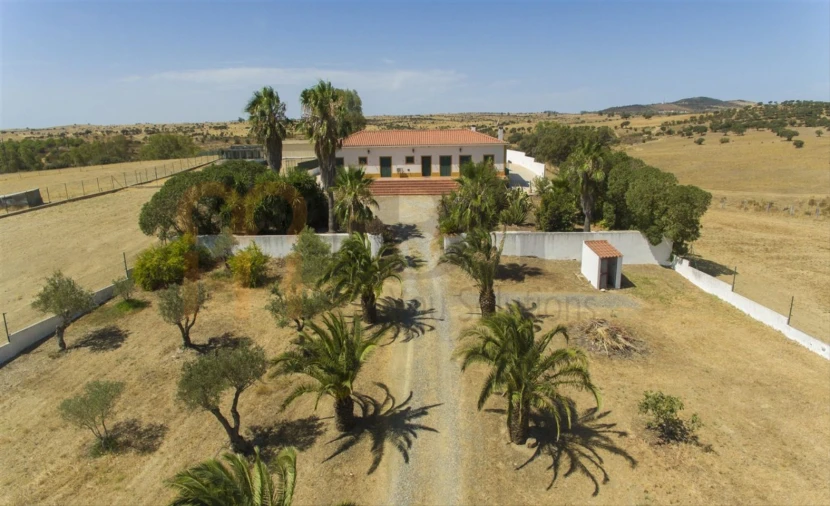 Quinta T2 para Venda em Santana de Cambas Foto 2