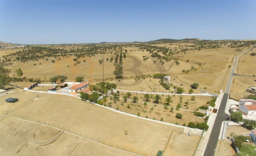 Quinta T2 para Venda em Santana de Cambas Foto 8