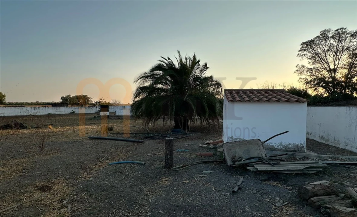 Terreno Agricola ou Rústico para Venda em Santana de Cambas Foto 6