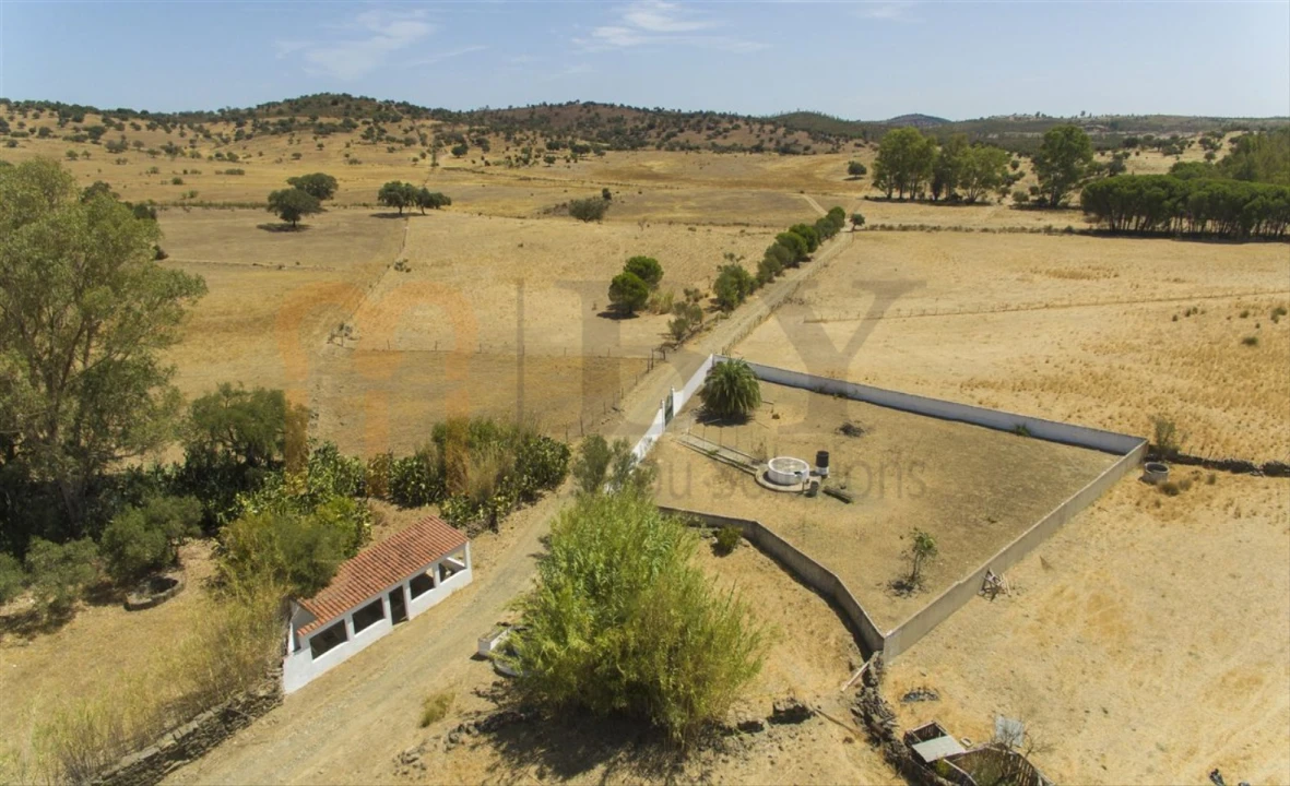 Terreno Agricola ou Rústico para Venda em Santana de Cambas Foto 12