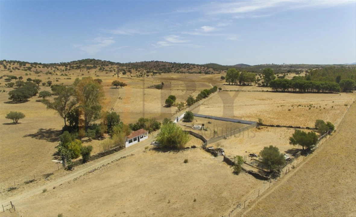 Terreno Agricola ou Rústico para Venda em Santana de Cambas Foto 13