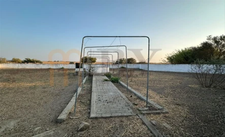 Terreno Agricola ou Rústico para Venda em Santana de Cambas
