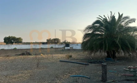 Terreno Agricola ou Rústico para Venda em Santana de Cambas