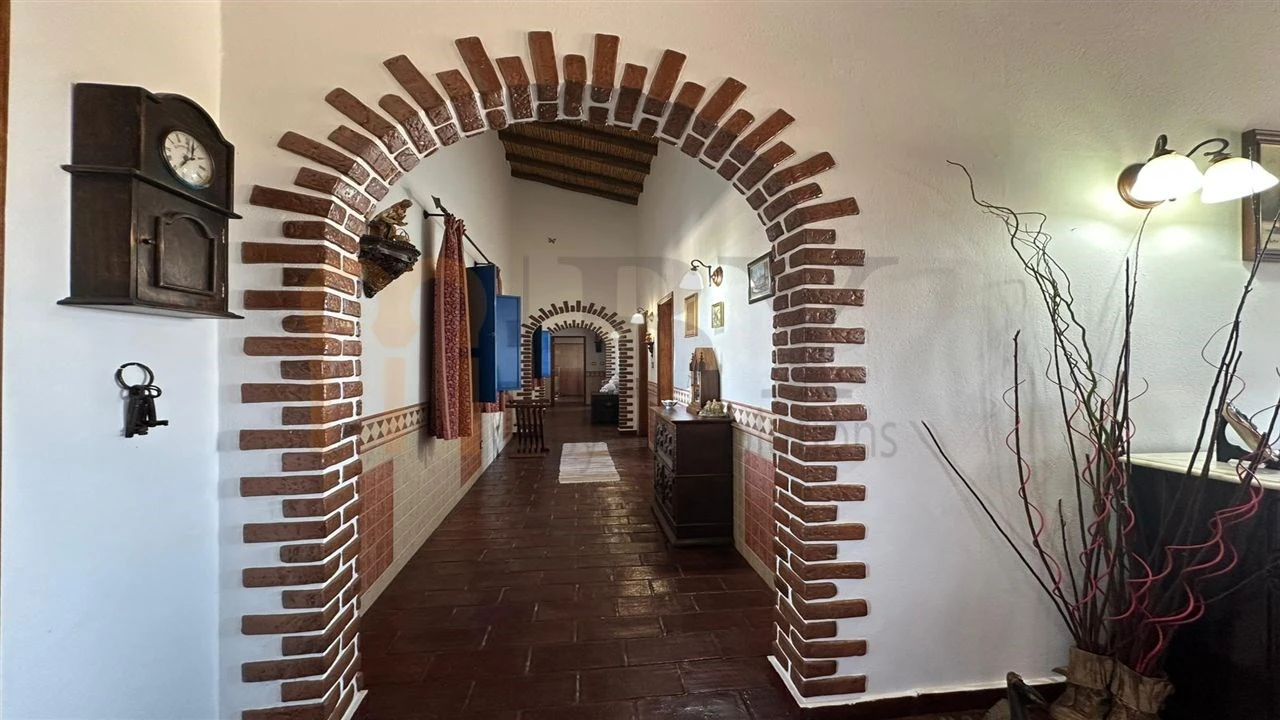 Quinta T3 para Venda em Mertola Foto 14