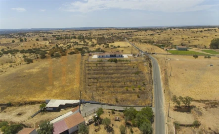 Quinta T3 para Venda em Mertola