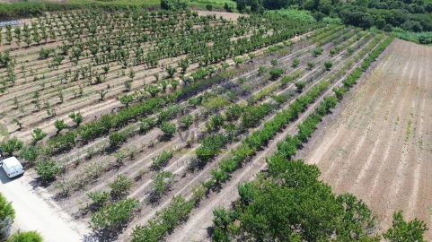 Terreno para Venda em Carvalhal