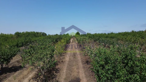 Terreno para Venda em Carvalhal