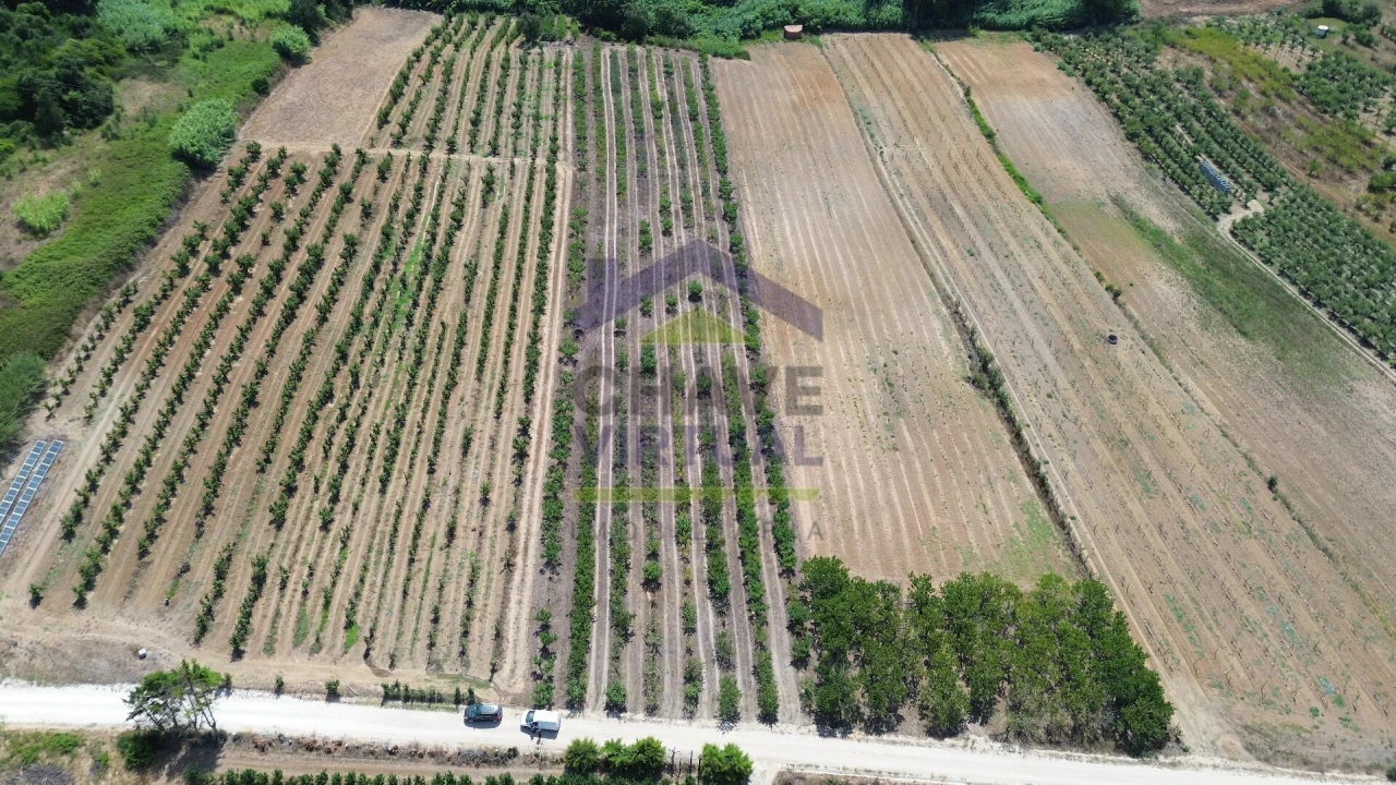 Terreno para Venda em Carvalhal Foto 2