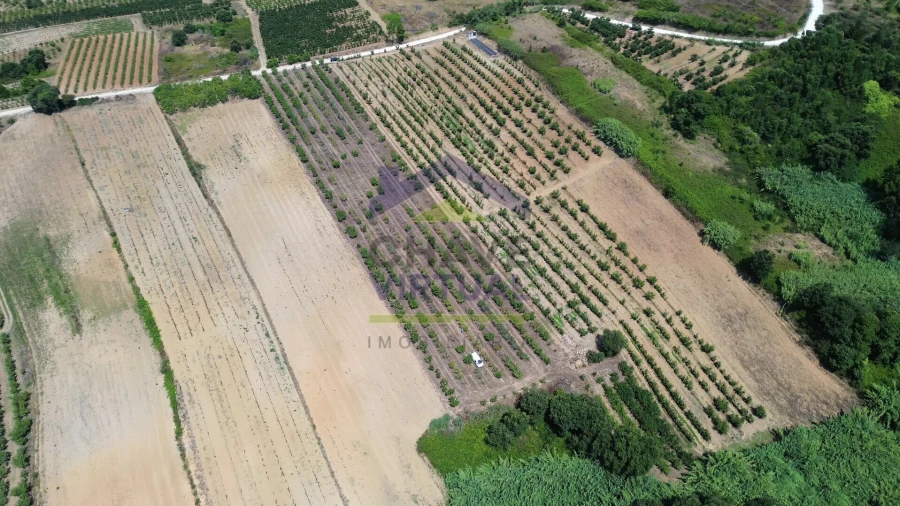 Terreno para Venda em Carvalhal Foto 8