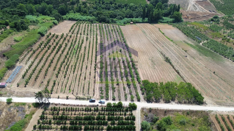 Terreno para Venda em Carvalhal Foto 9