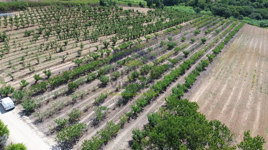 Terreno para Venda em Carvalhal Foto 4