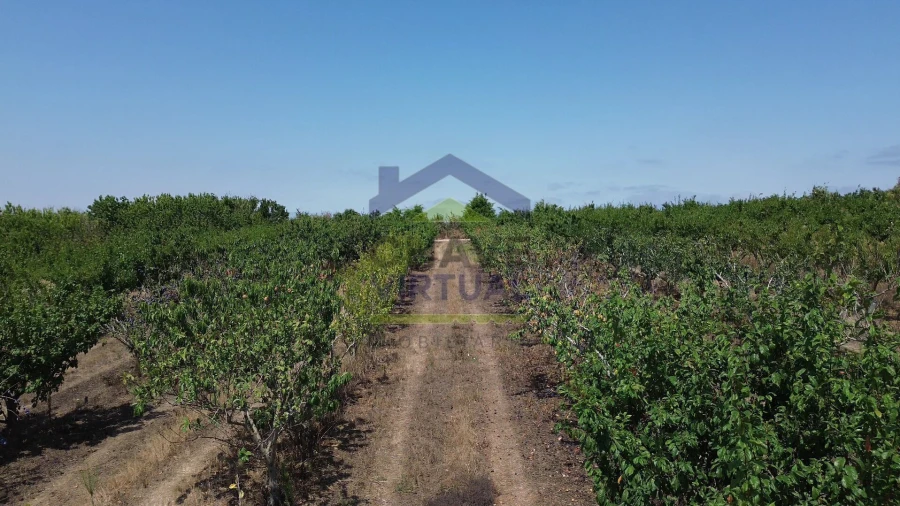Terreno para Venda em Carvalhal Foto 6