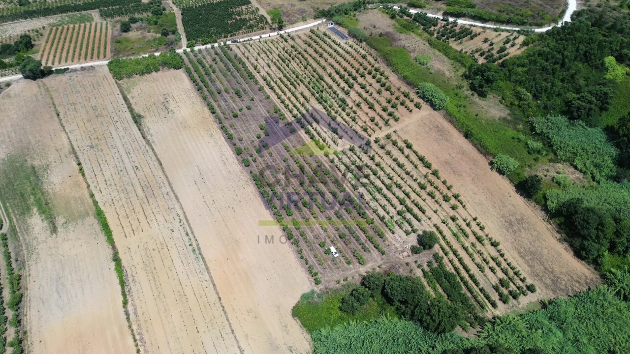 Terreno para Venda em Carvalhal Foto 8