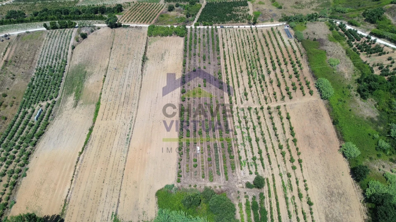 Terreno para Venda em Carvalhal Foto 3