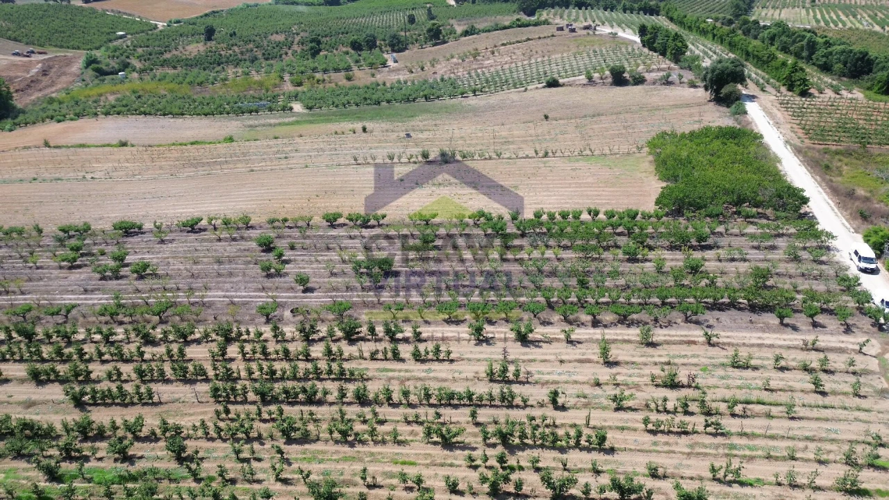 Terreno para Venda em Carvalhal Foto 5