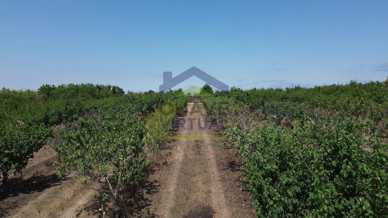 Terreno para Venda em Carvalhal Foto 6