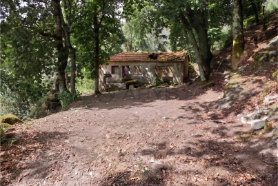 Quinta T8 para Venda em Rossas
