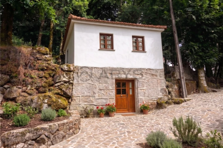 Quinta T8 para Venda em Rossas Foto 8