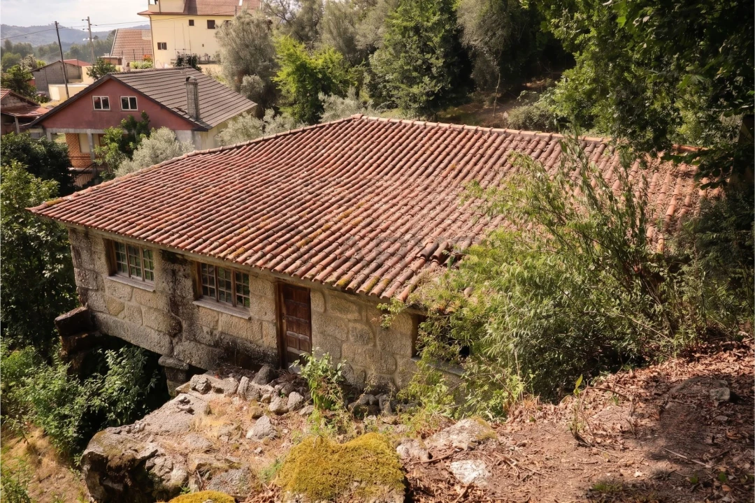 Quinta T8 para Venda em Rossas Foto 12