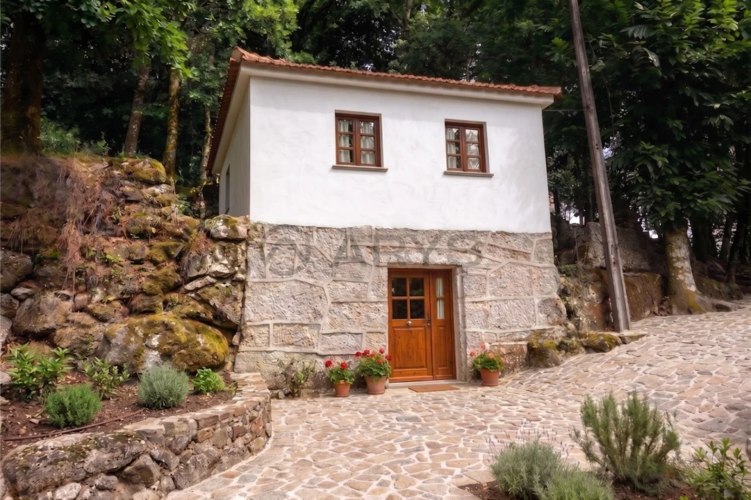 Quinta T8 para Venda em Rossas Foto 8